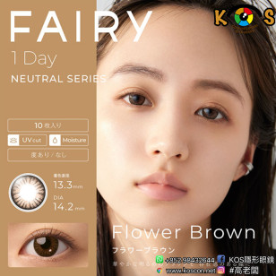 FAIRY 1day Neutral series Flower Brown フェアリーワンデー ニュートラルシリーズ フラワーブラウン
